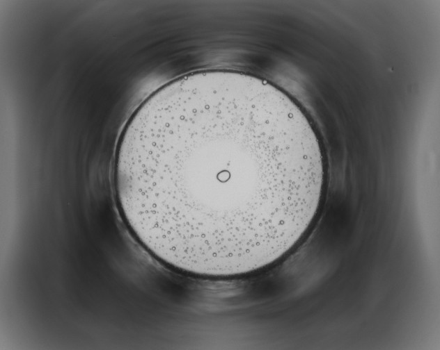 X0000086921338200704161354
