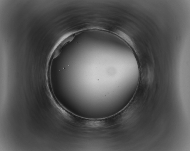 X0000086921339200704161354