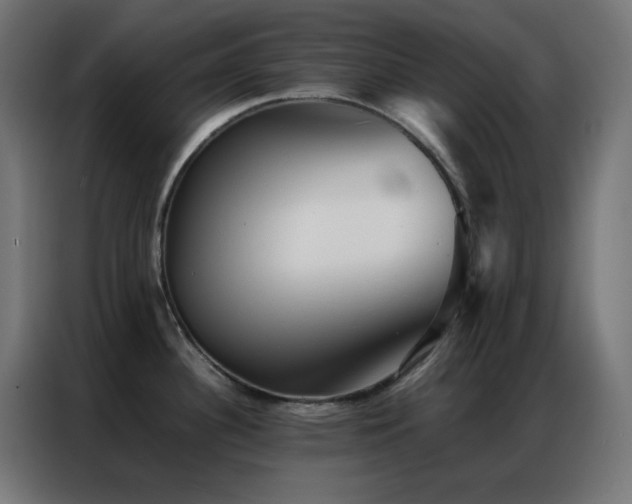X0000086921340200704161354