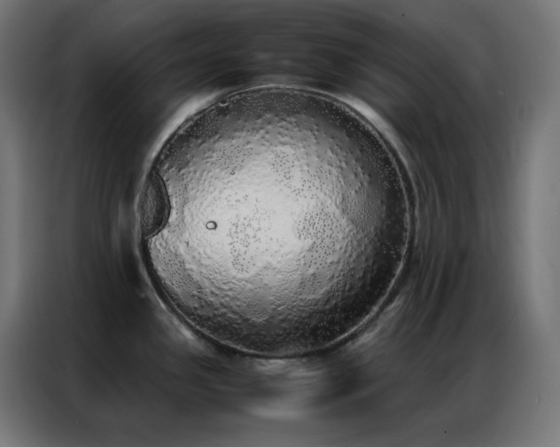X0000086921341200704161354