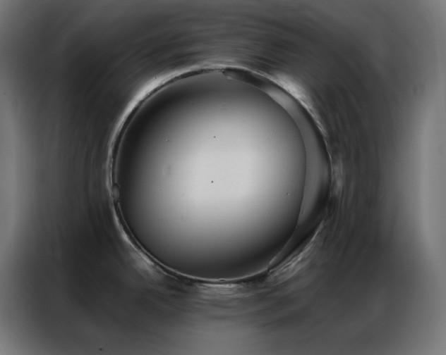 X0000086921342200704161354