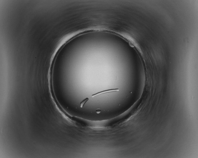 X0000086921343200704161354