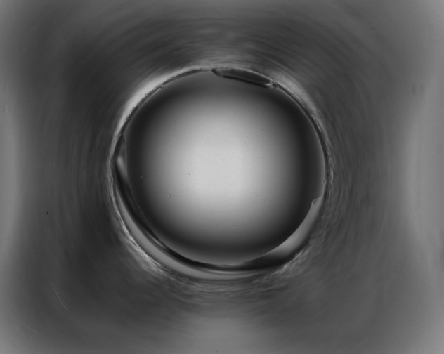 X0000086921344200704161354