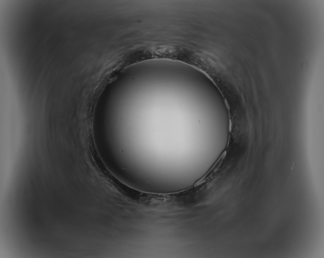 X0000086921345200704161354