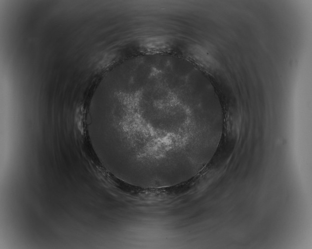 X0000086921346200704161354