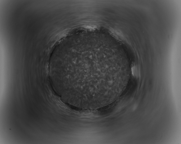 X0000086921347200704161354