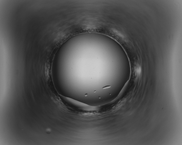X0000086921348200704161354