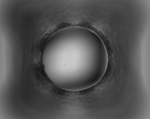 X0000086921349200704161354