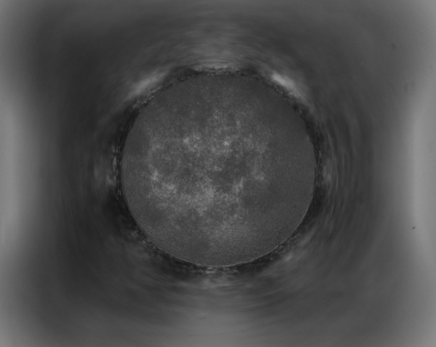 X0000086921350200704161354