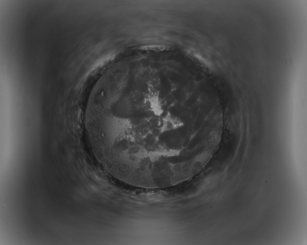 X0000086921351200704161354