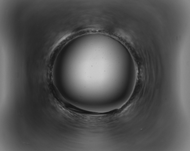 X0000086921352200704161354