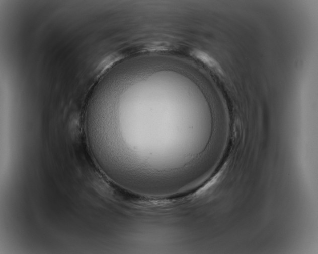 X0000086921353200704161354
