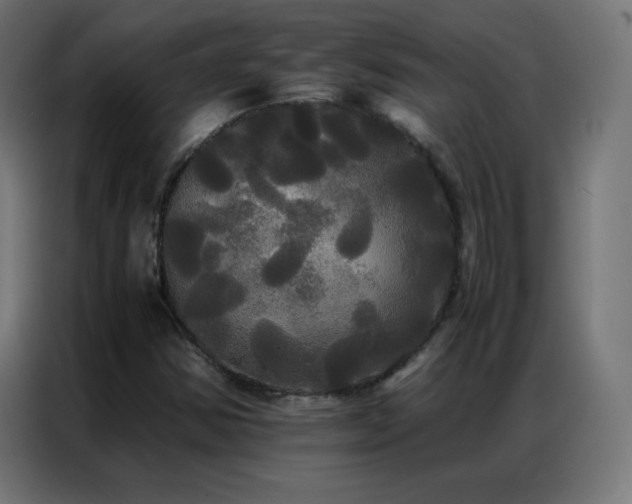 X0000086921354200704161354