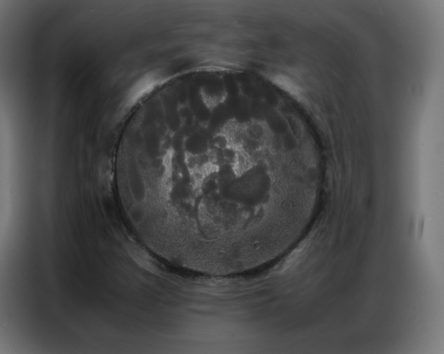 X0000086921355200704161354
