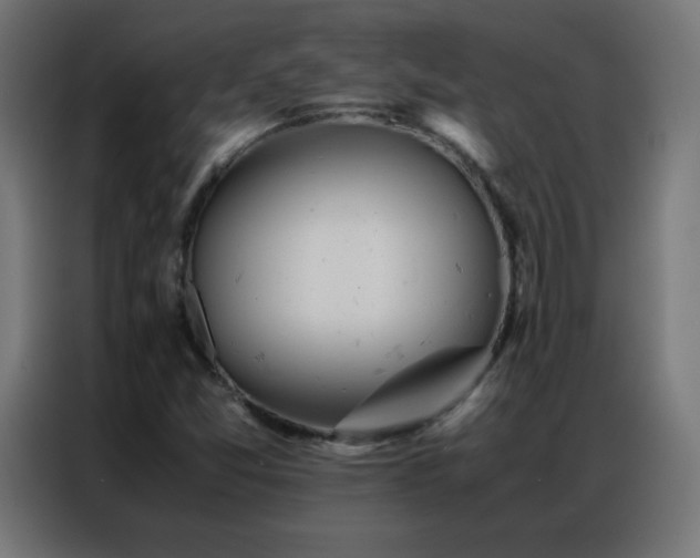 X0000086921357200704161354