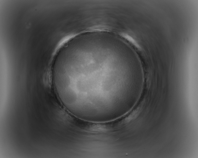X0000086921358200704161354