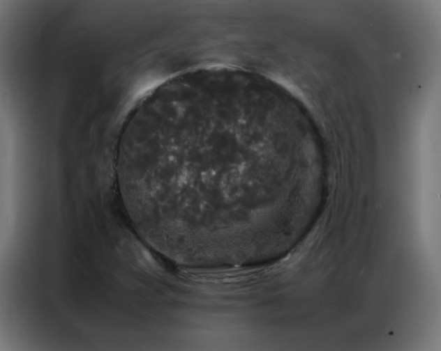 X0000086921359200704161354