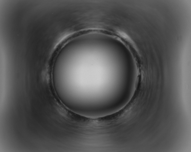 X0000086921360200704161354