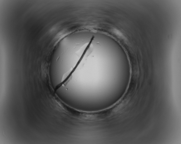 X0000086921361200704161354