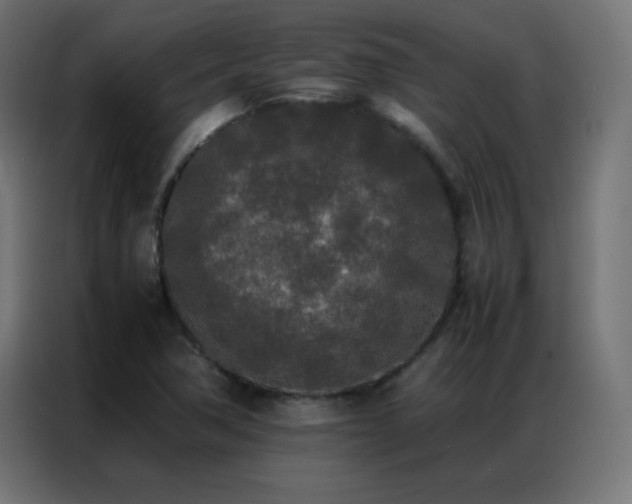 X0000086921362200704161354
