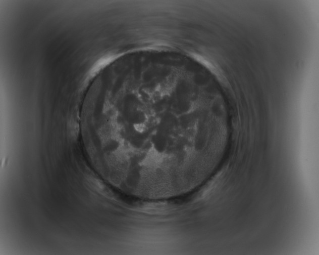 X0000086921363200704161354