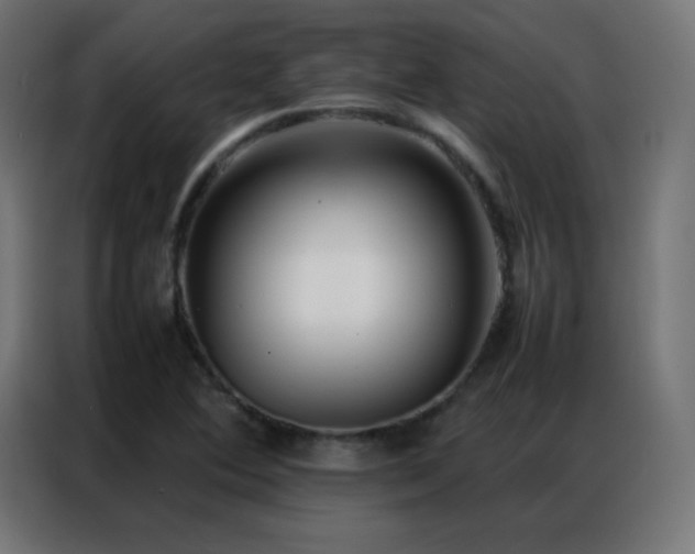 X0000086921364200704161354