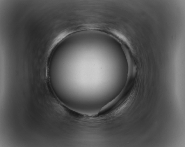 X0000086921365200704161354