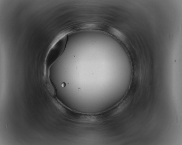 X0000086921370200704161353