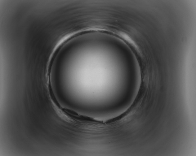 X0000086921372200704161353