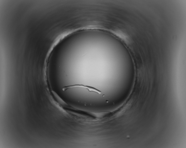 X0000086921374200704161353