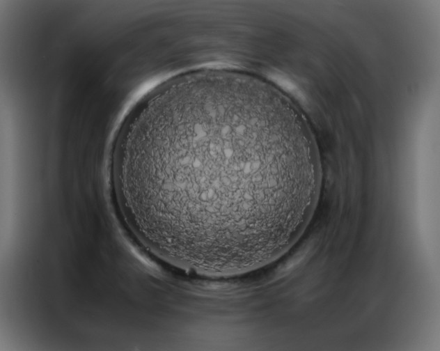 X0000086921375200704161353
