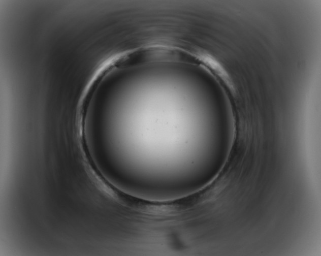 X0000086921376200704161353