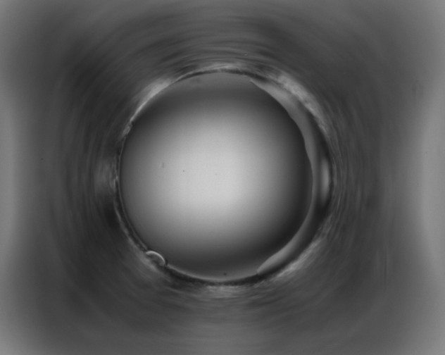 X0000086921377200704161353