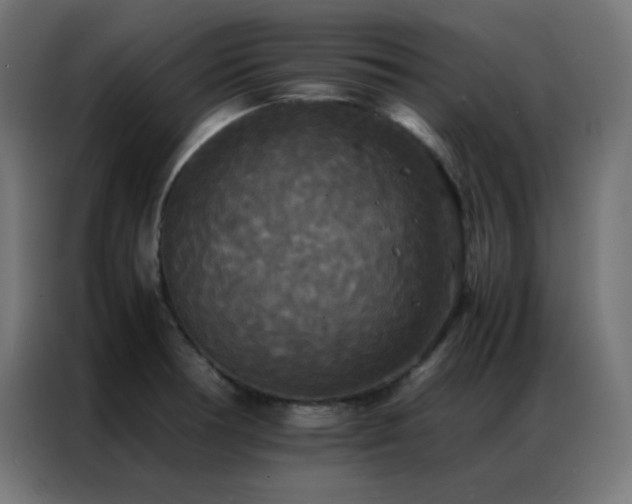 X0000086921378200704161353