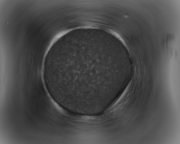 X0000086921379200704161353