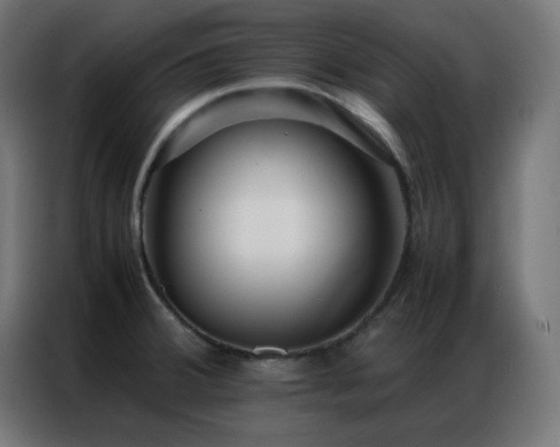 X0000086921380200704161353