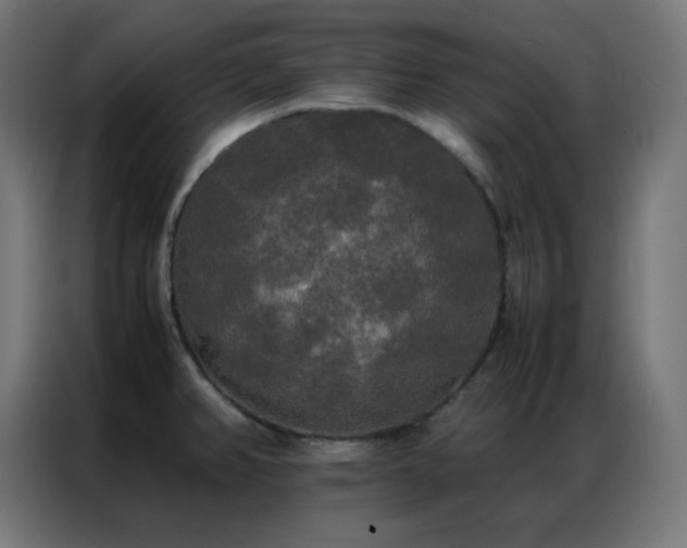 X0000086921382200704161353
