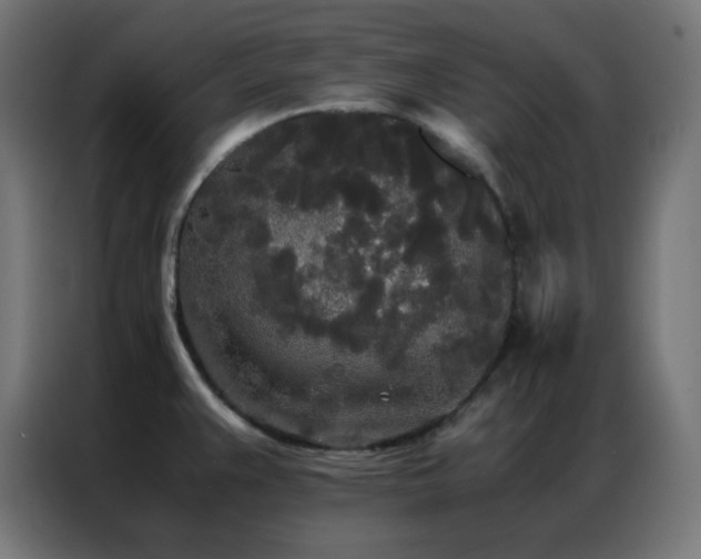X0000086921383200704161353