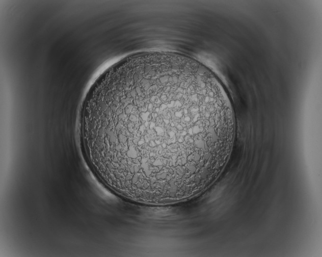 X0000086921387200704161353