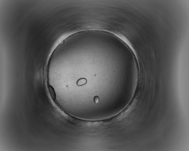 X0000086921389200704161353