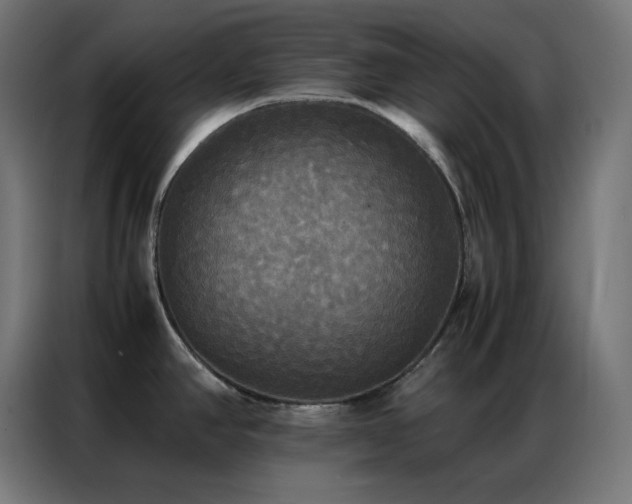 X0000086921390200704161353