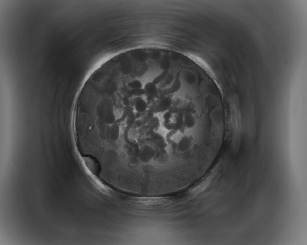 X0000086921391200704161353