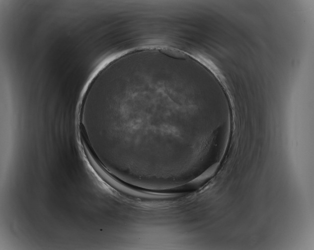 X0000086921392200704161353