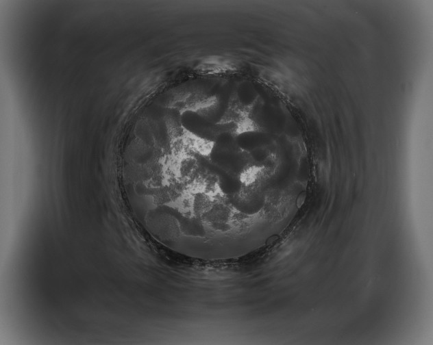 X0000086921393200704161352