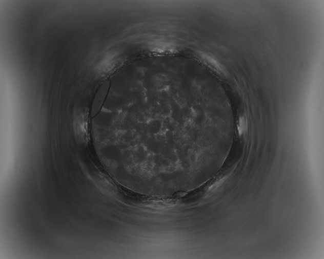 X0000086921396200704161353