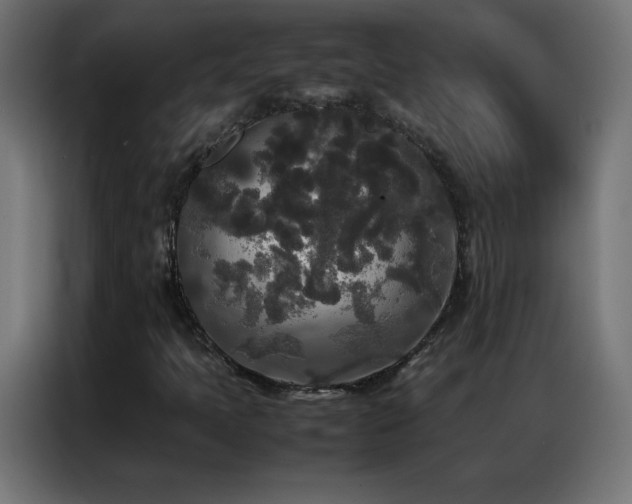 X0000086921397200704161353