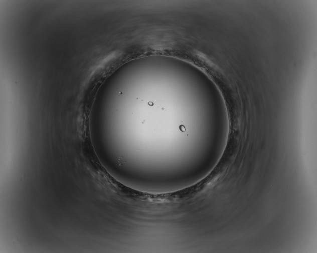 X0000086921398200704161353