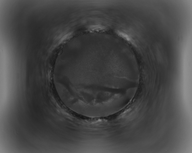 X0000086921399200704161353