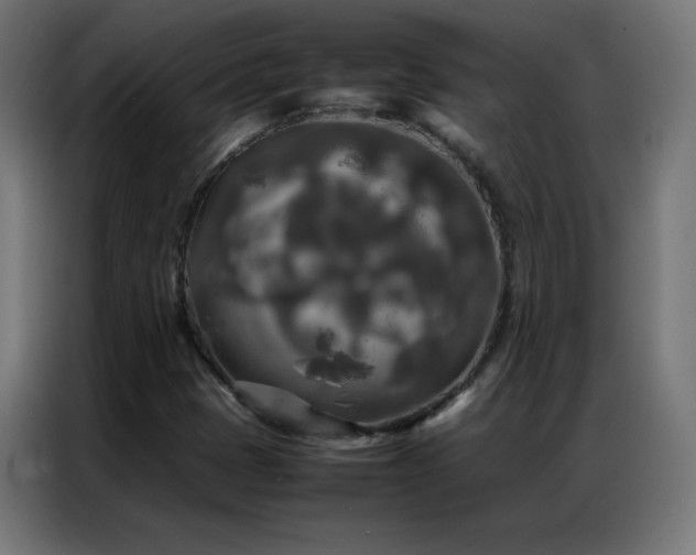 X0000086921401200704161353