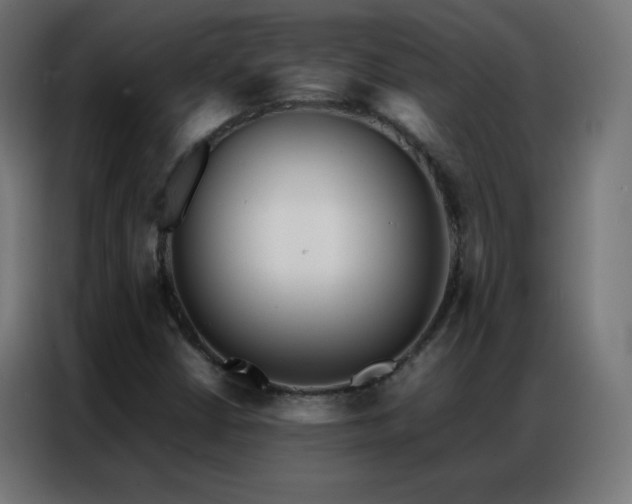 X0000086921402200704161353